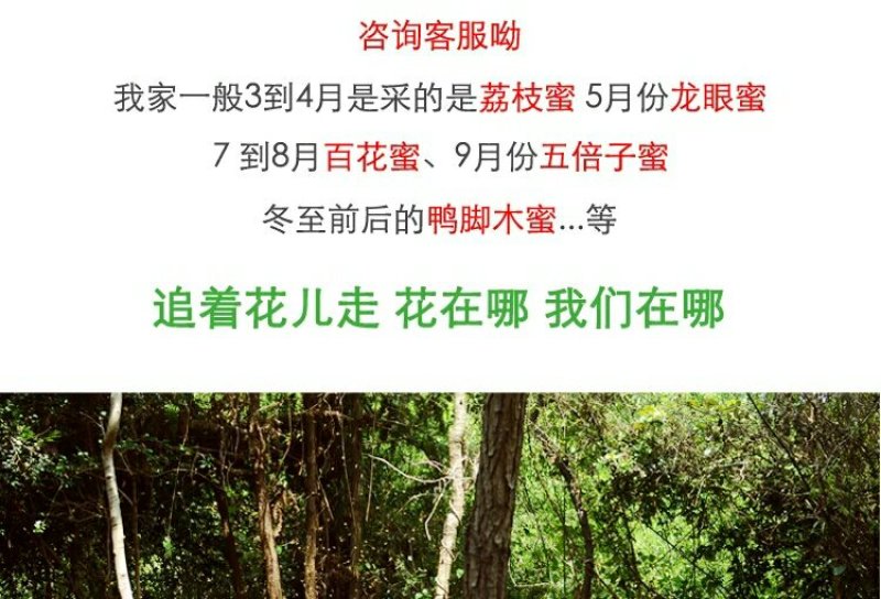纯天然土蜂蜜