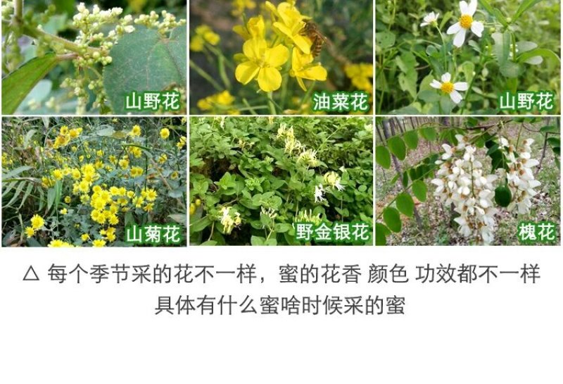 纯天然土蜂蜜