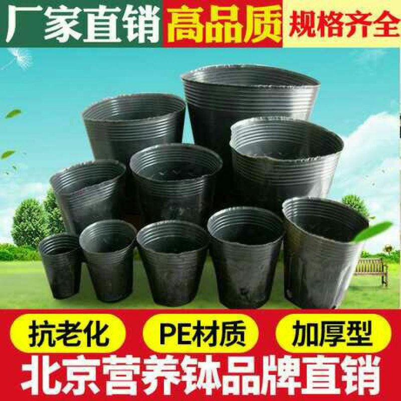 营养钵