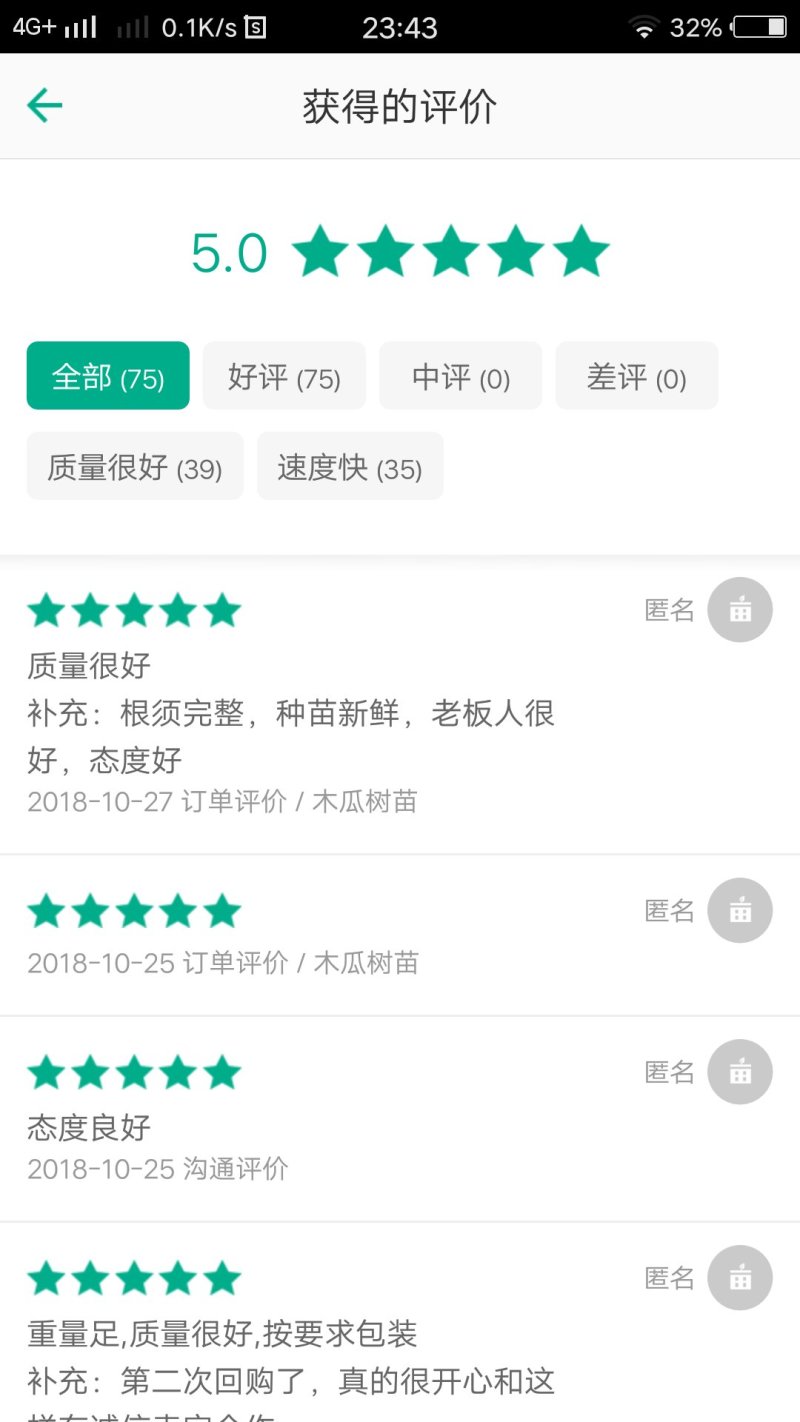 长阳木瓜苗皱皮无籽木瓜苗资丘木瓜苗药用木瓜