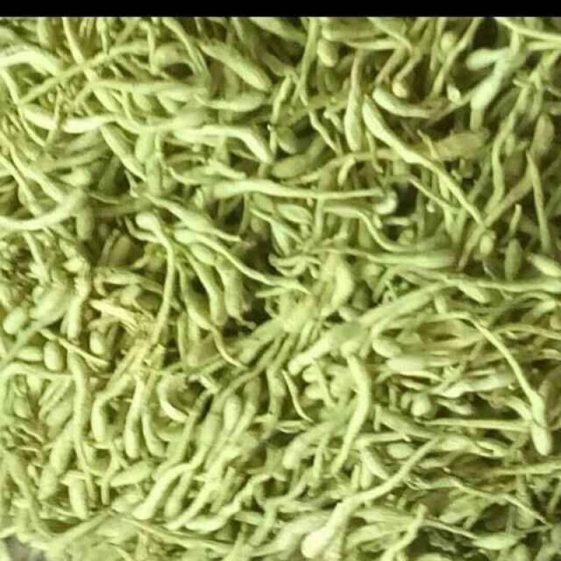 金银花一级花