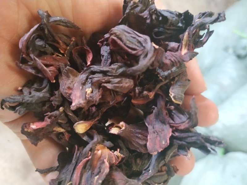 玫瑰茄、洛神花，进口大货