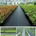 厂家直销园艺地布防草布除草布抗老化大棚果园盖草抑草布地垫