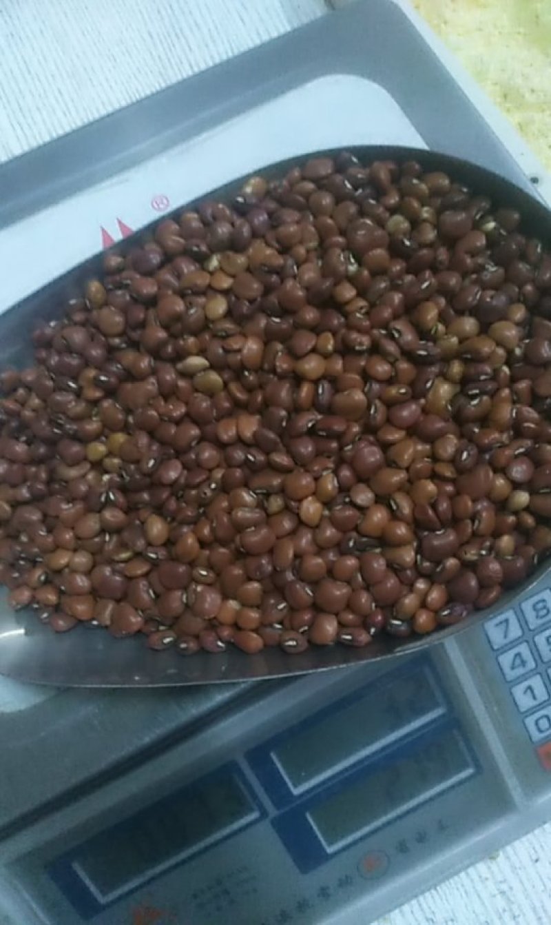 进口真空包装精选无杂质红江豆不包邮量大可议价