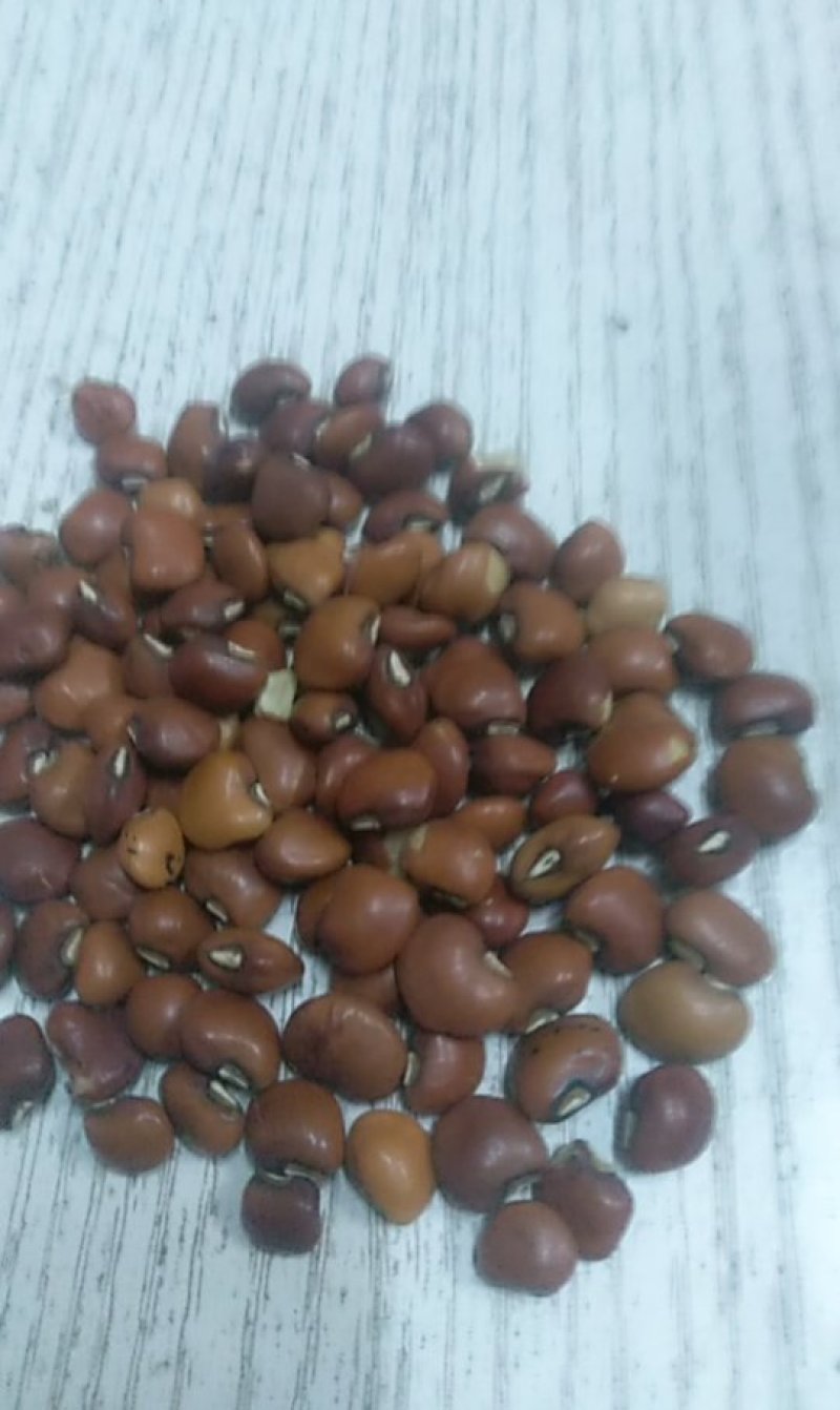 进口真空包装精选无杂质红江豆不包邮量大可议价