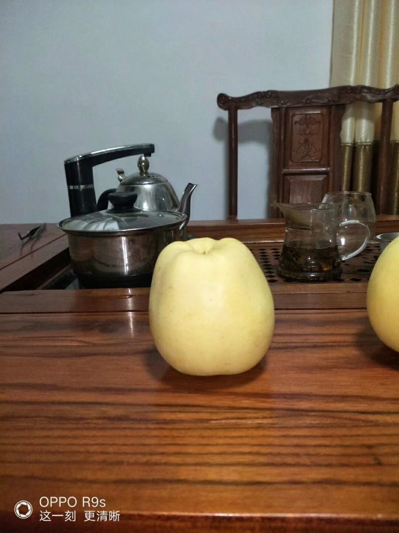 维纳斯黄金苹果苗奶油苹果苗嫁接苹果苗
