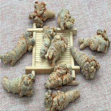 三七40头批发各种规格中药材
