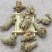 三七40头批发各种规格中药材