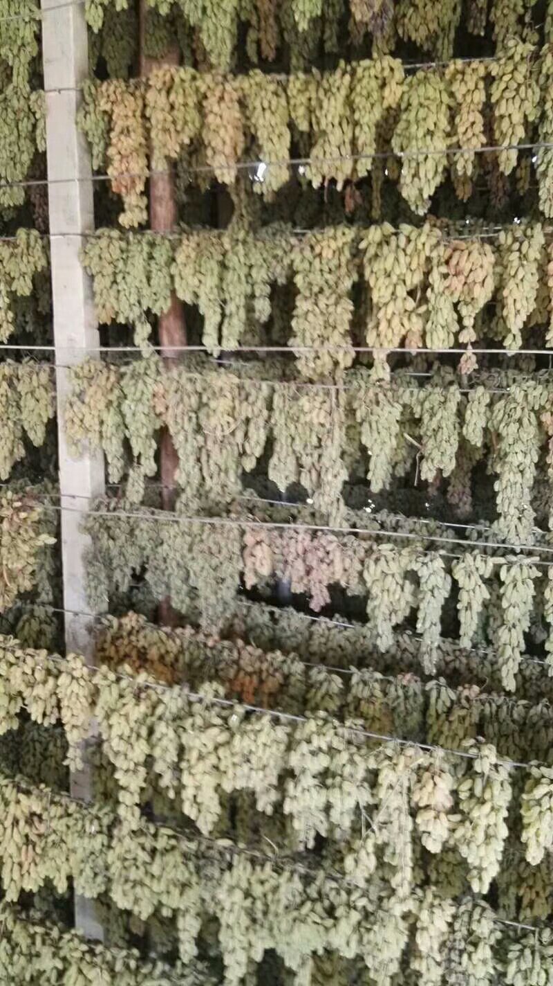 新疆大枣，葡萄干，富平柿饼上市了。