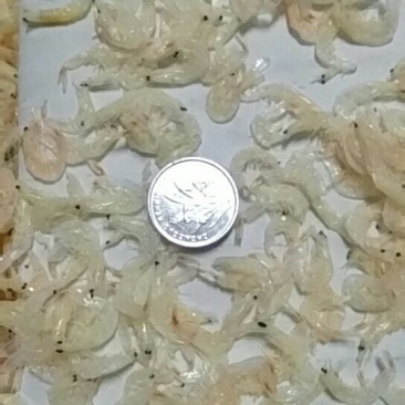 常年批发东北纯无盐淡干大虾皮，南方虾，三证齐全