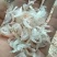 常年批发东北纯无盐淡干大虾皮，南方虾，三证齐全