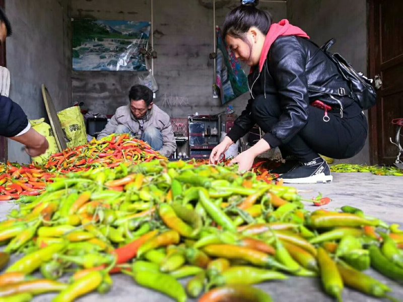 脆皮青椒