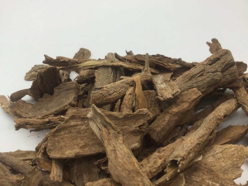 地骨皮，中药材地骨皮
