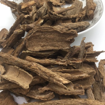 地骨皮，中药材地骨皮