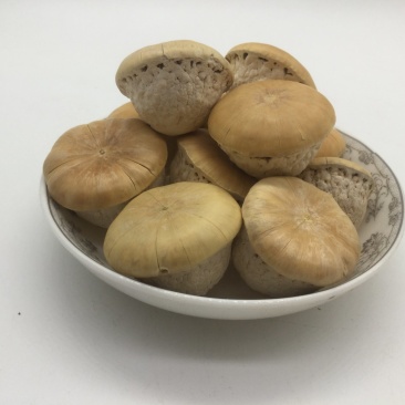 风流果，龟头子，中药材风流果