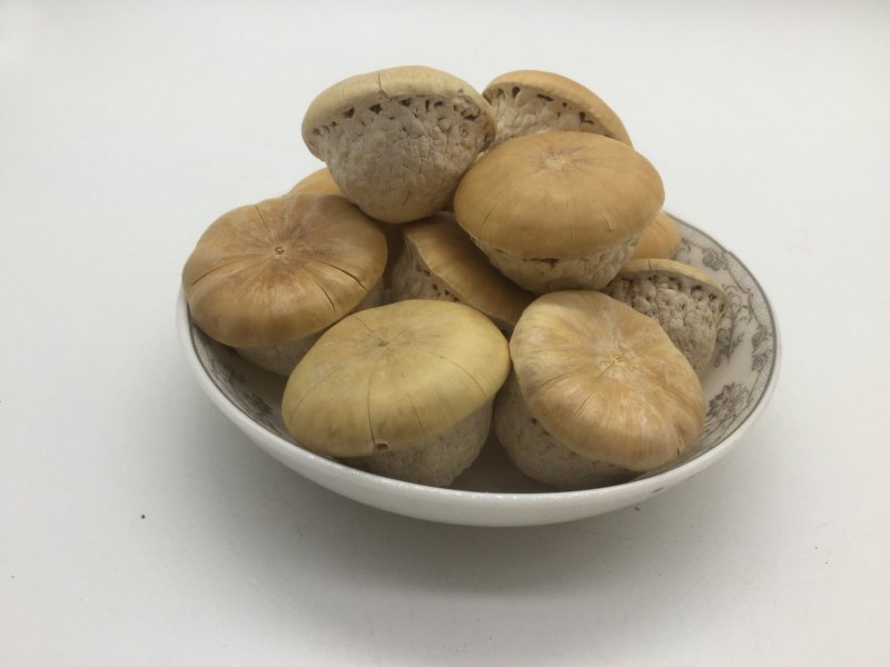 风流果，龟头子，中药材风流果