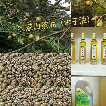 山茶油