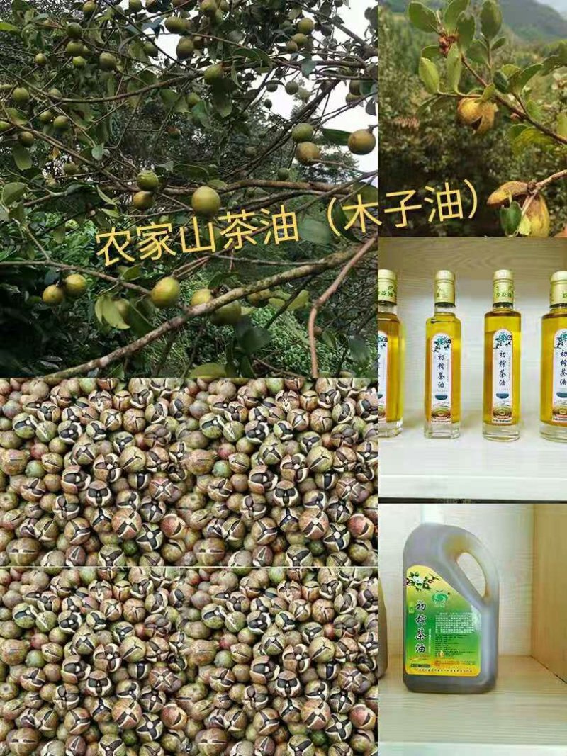 山茶油