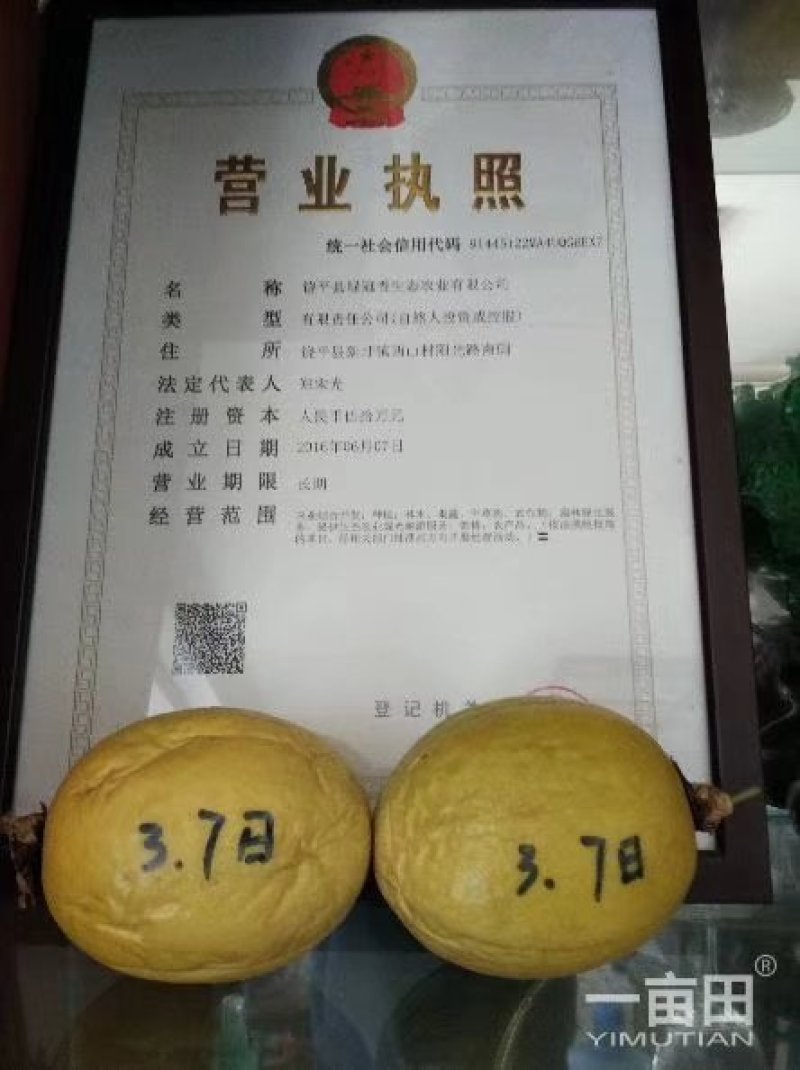 黄金百香果，金霸粒400克，三粒一斤