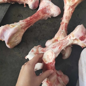 牛棒骨