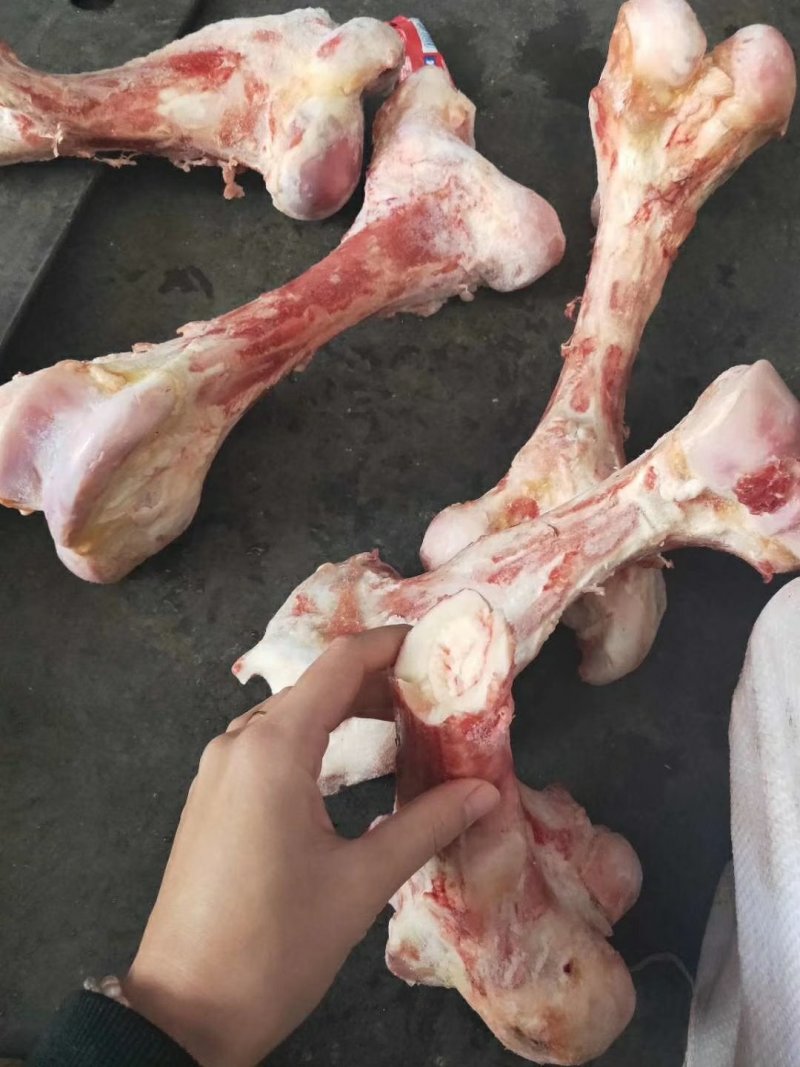 牛棒骨