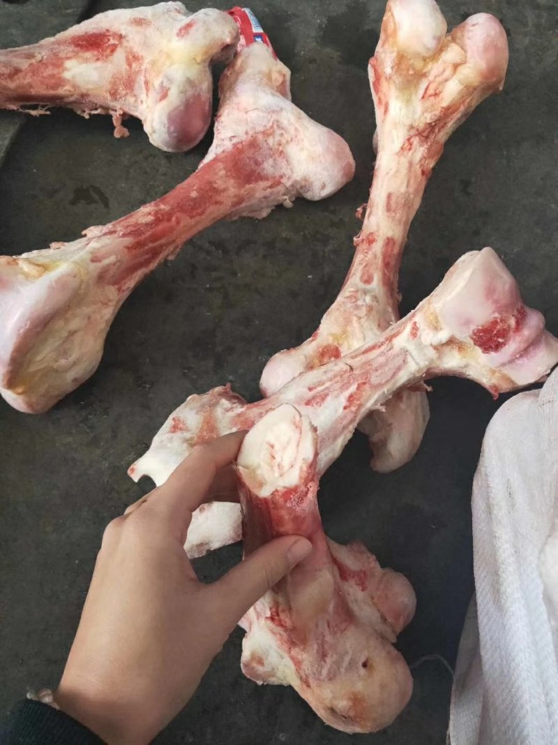 牛棒骨