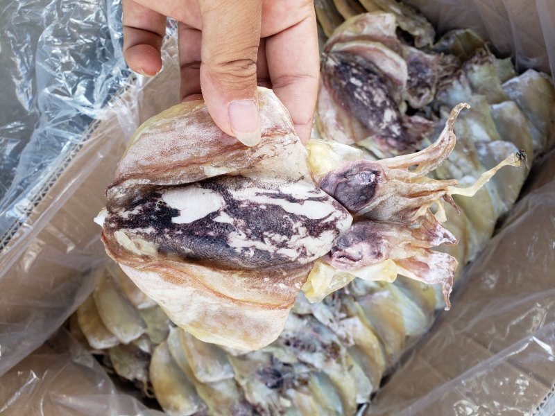 北海墨鱼干淡晒墨鱼一斤11-15个左右
