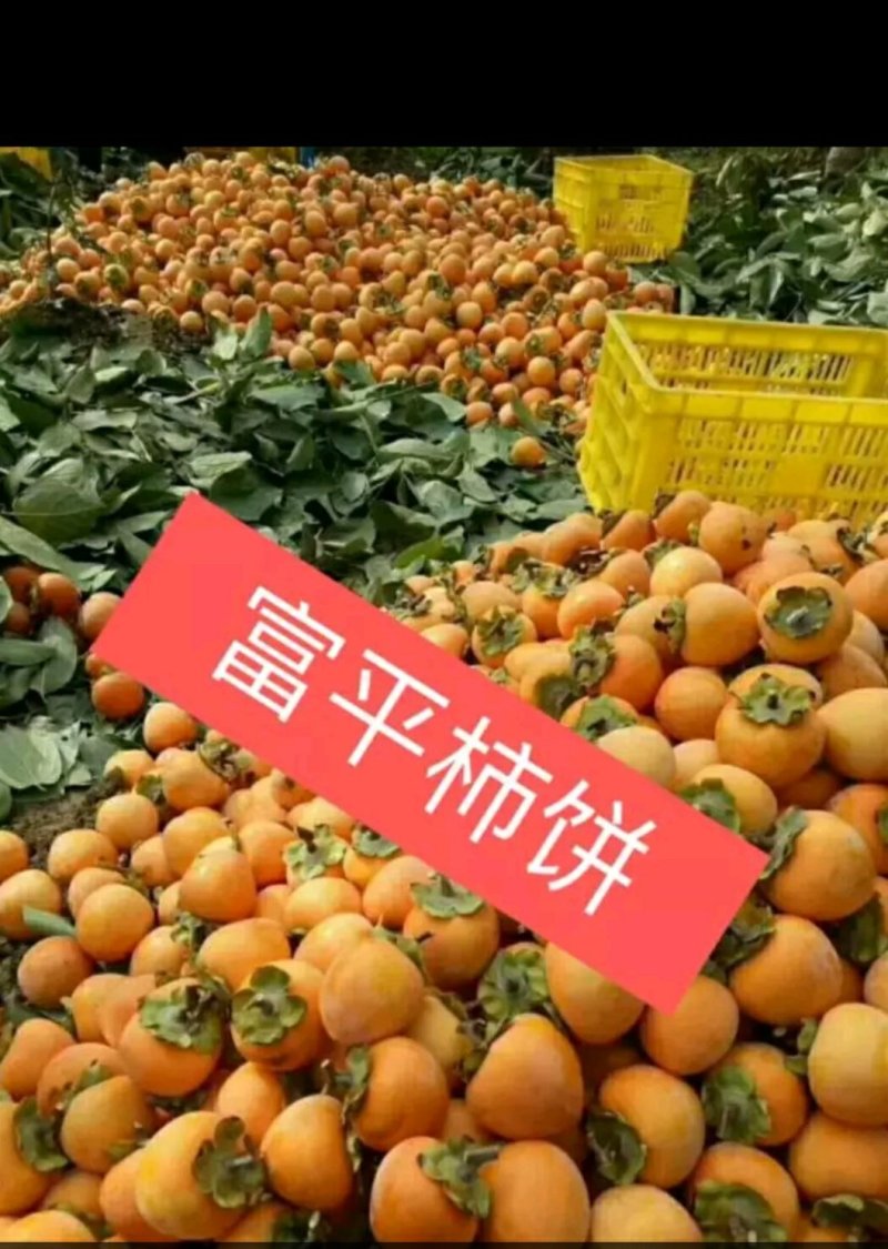 蜂蜜柿饼