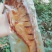 酥鱼，有武昌鱼鲤鱼鲢鱼香酥可口回味无穷