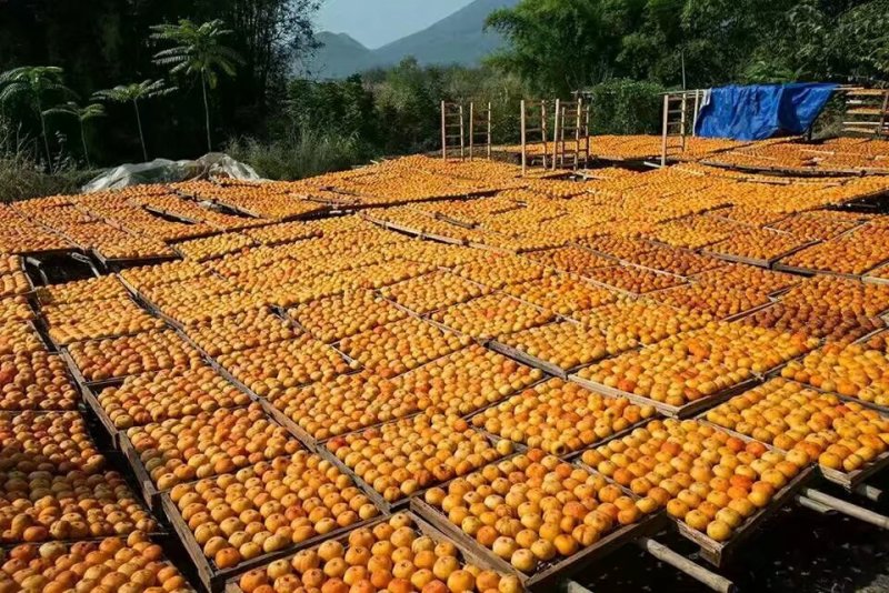 柿饼