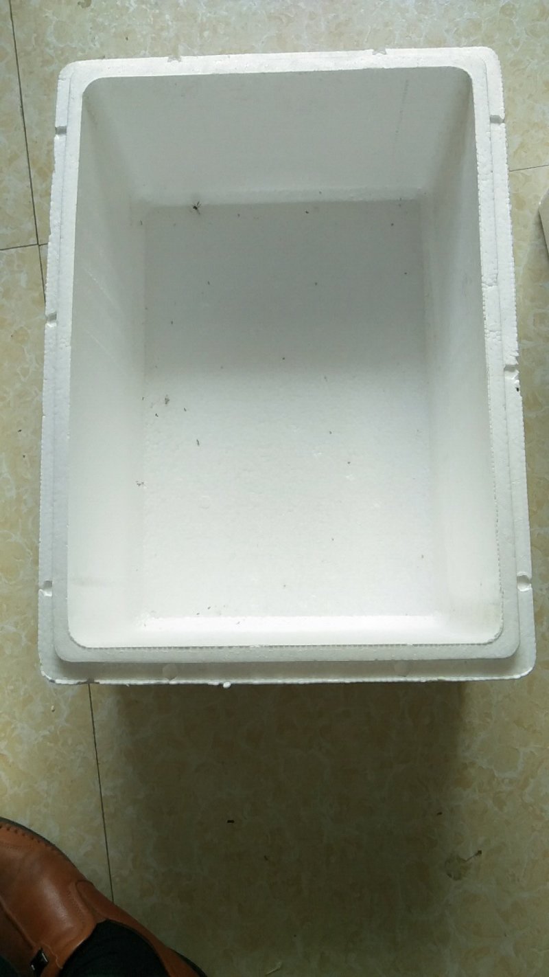 泡沫箱水果箱各种规格