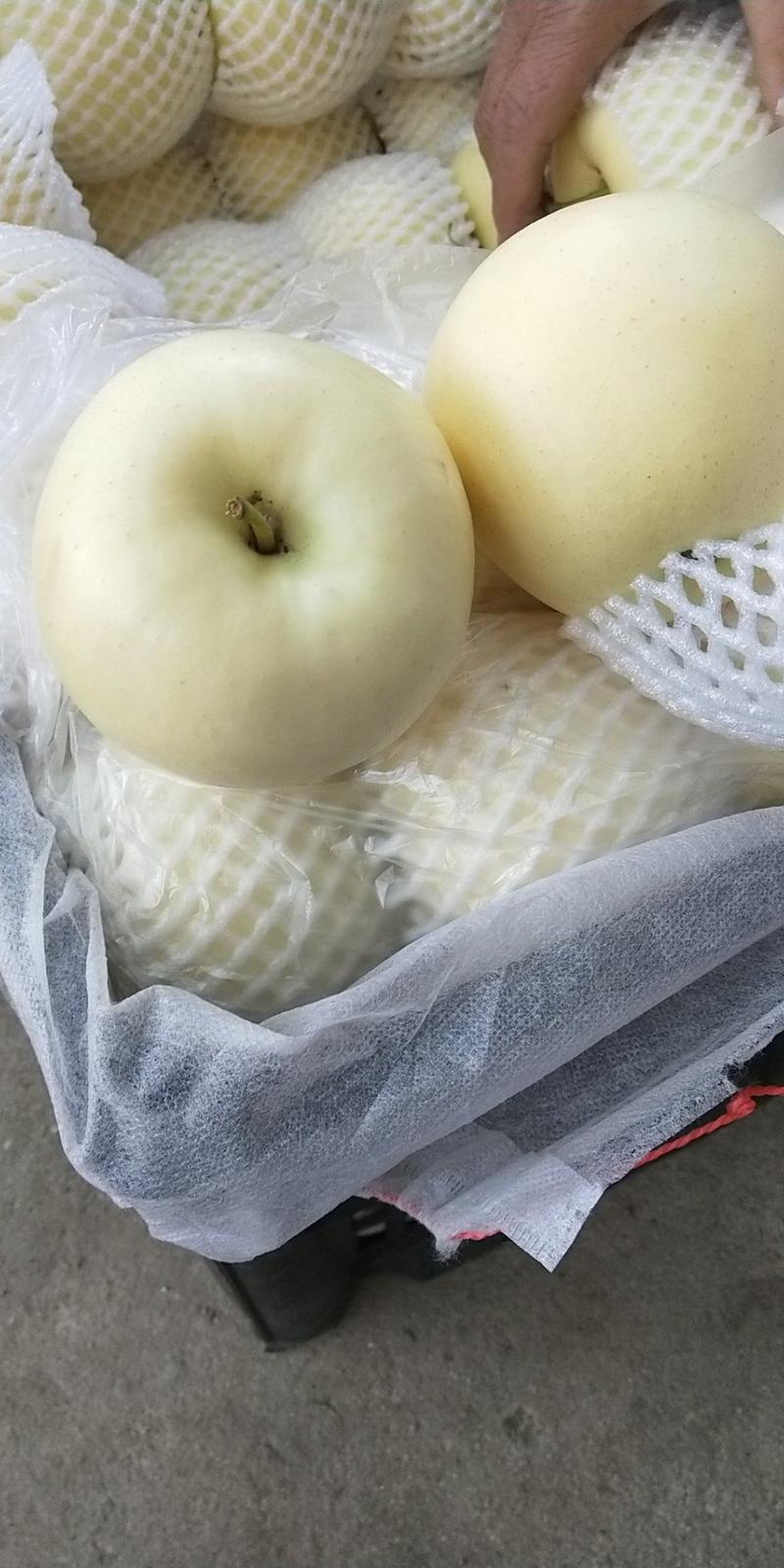 黄元帅苹果80mm以上纸袋