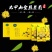 金丝黄菊