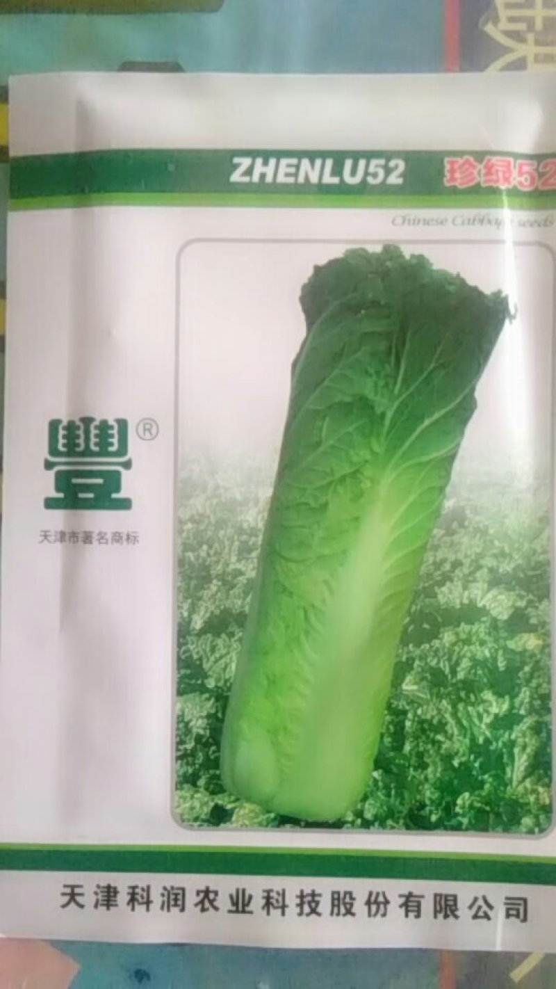 白菜种子