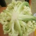 花菜
