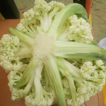 有机花菜