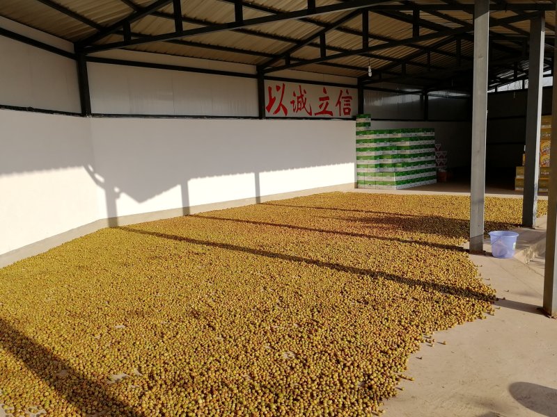 余甘子干货（云南野生余甘子，自然晾晒风干）