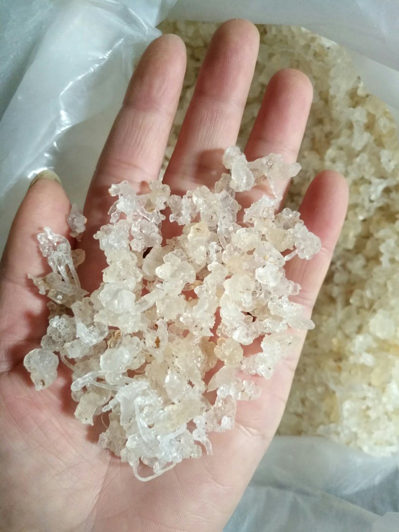 缅甸特级雪燕，500克一袋，包邮，量大从优
