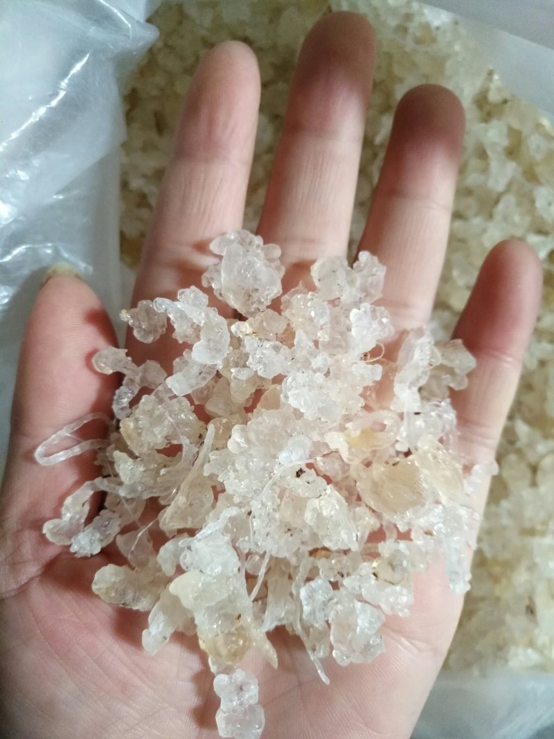 缅甸特级雪燕，500克一袋，包邮，量大从优