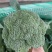 西兰花