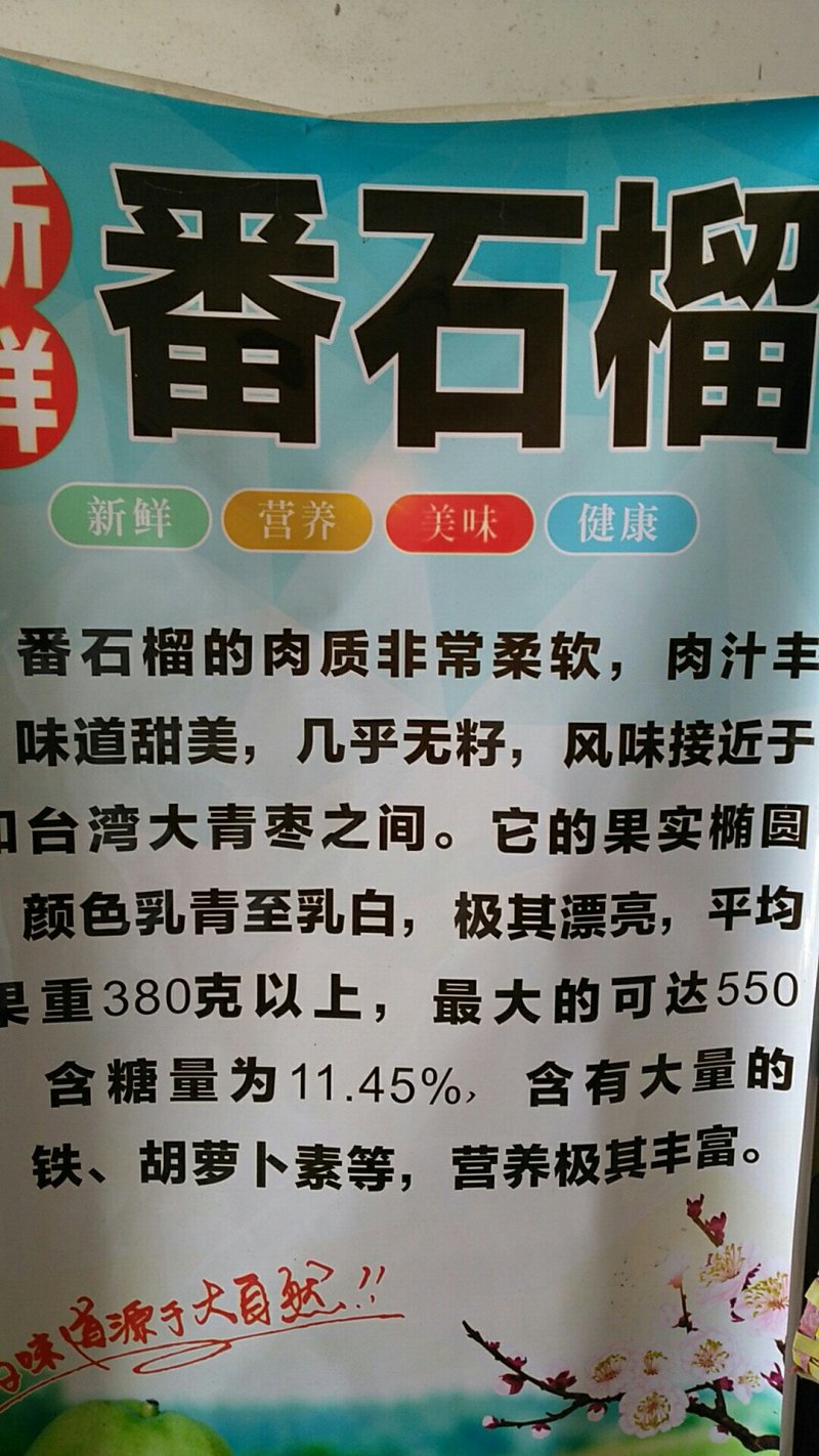 红宝石芭乐60~70mm红心