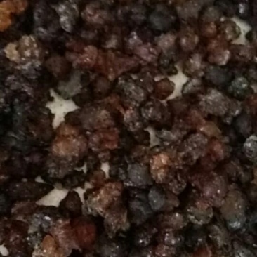 大颗粒天然桃胶