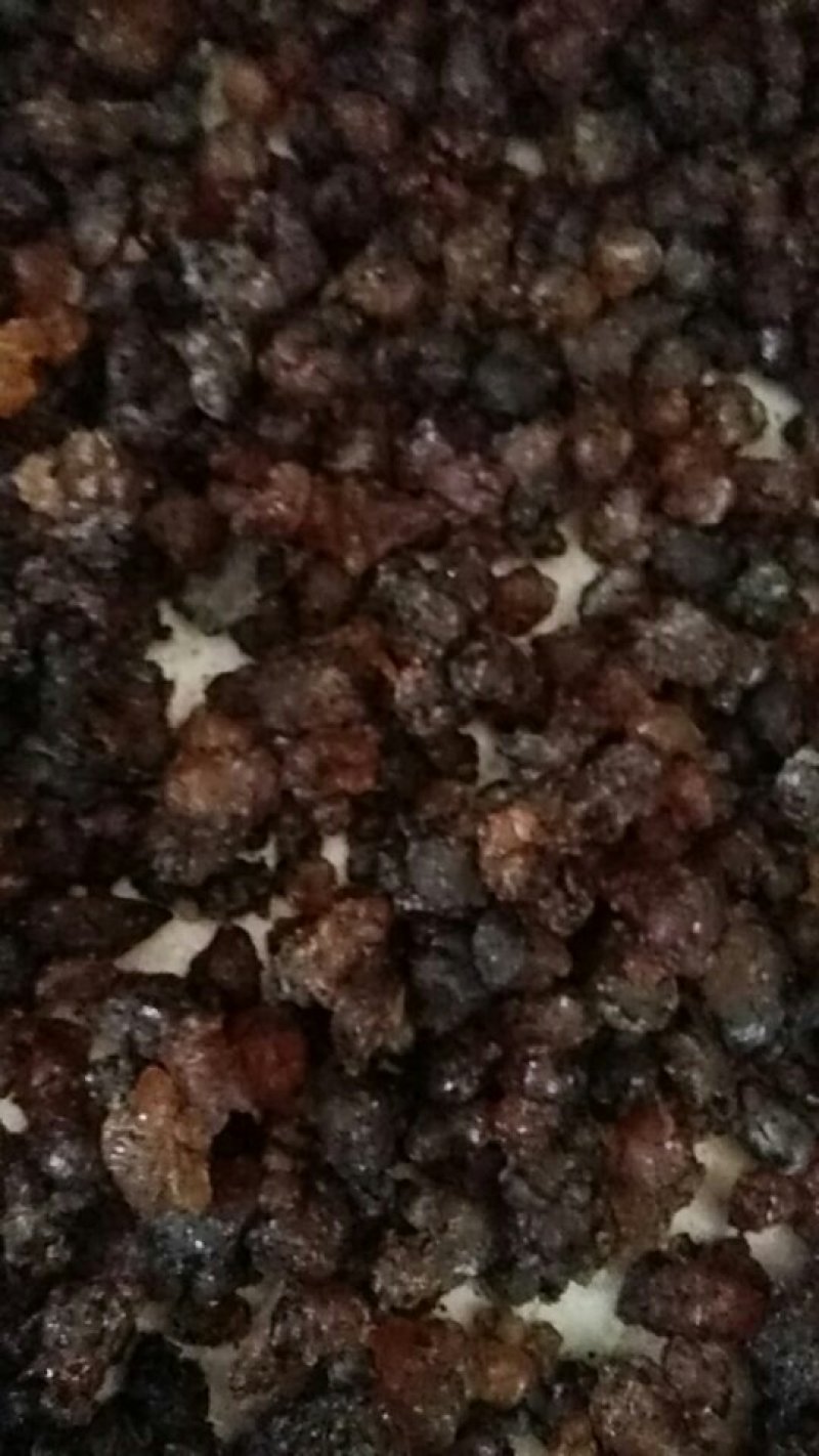大颗粒天然桃胶