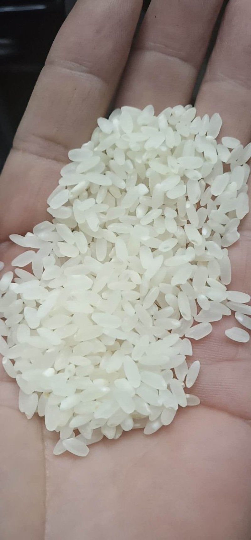 有需要用米的客户。请与我联系。以及食堂米。电话13234