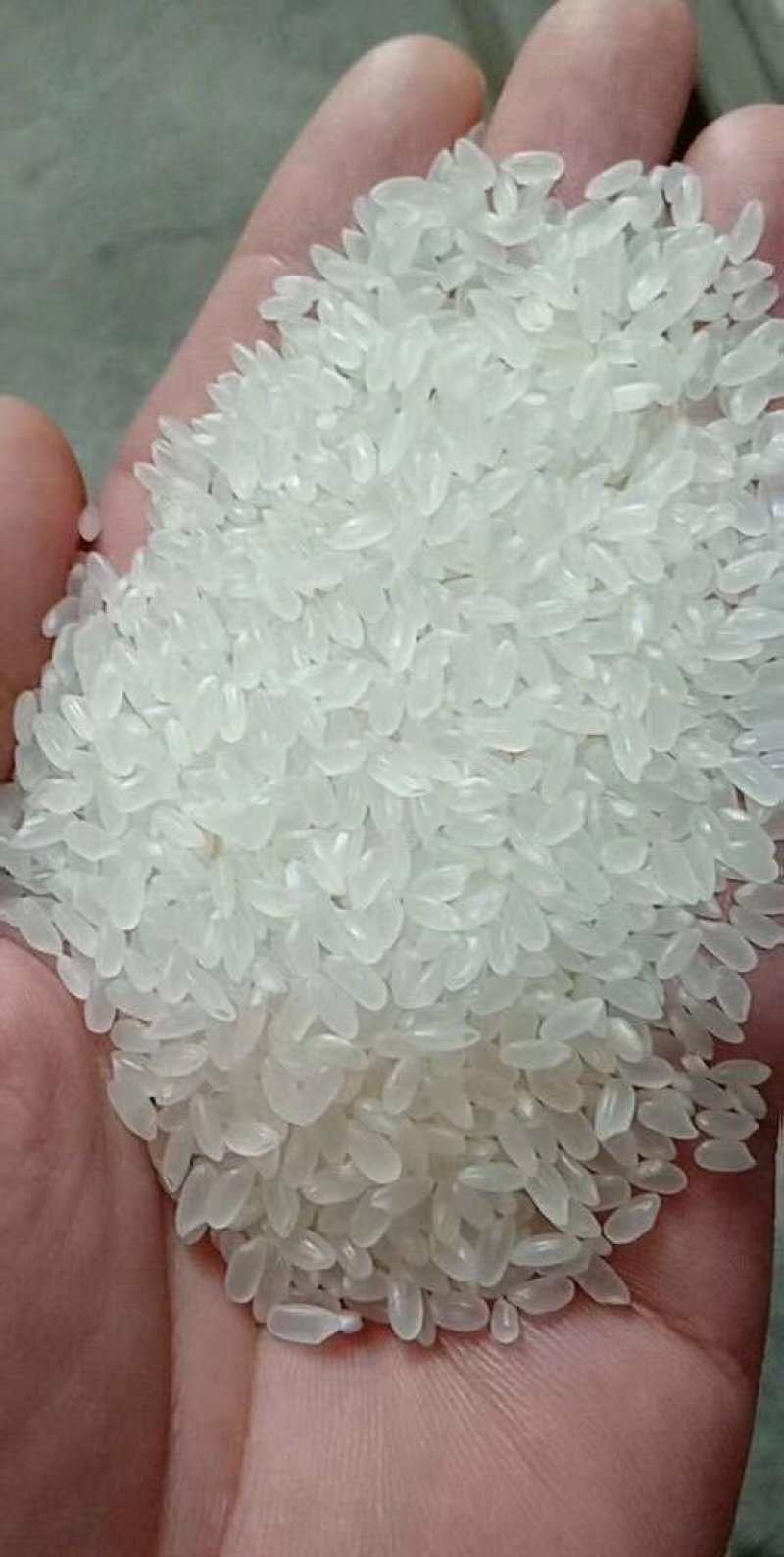 有需要用米的客户。请与我联系。以及食堂米。电话13234