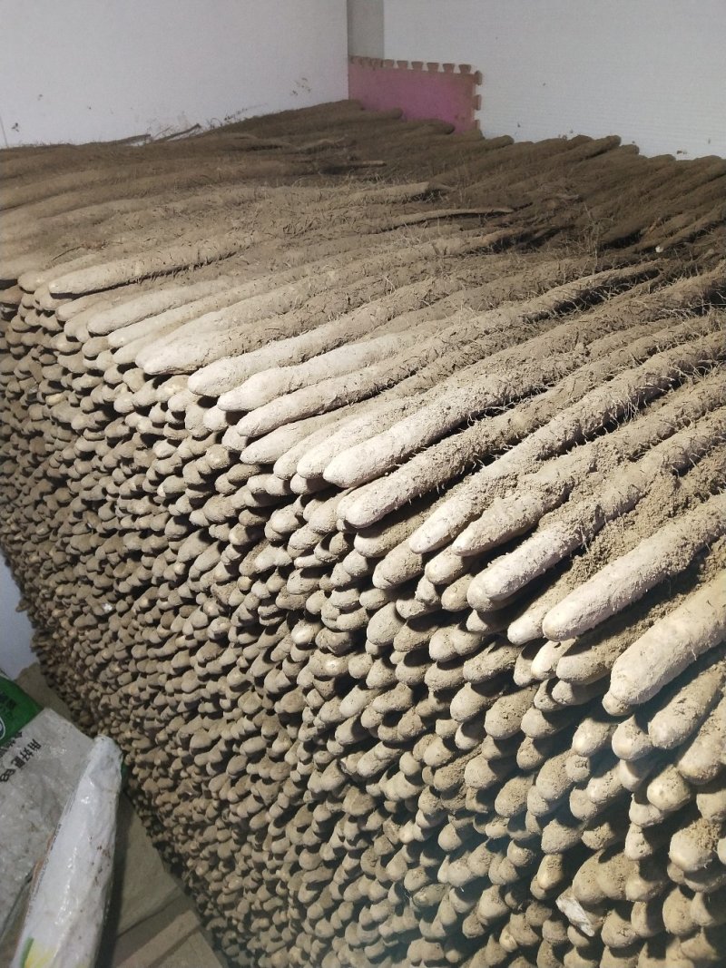 小白嘴