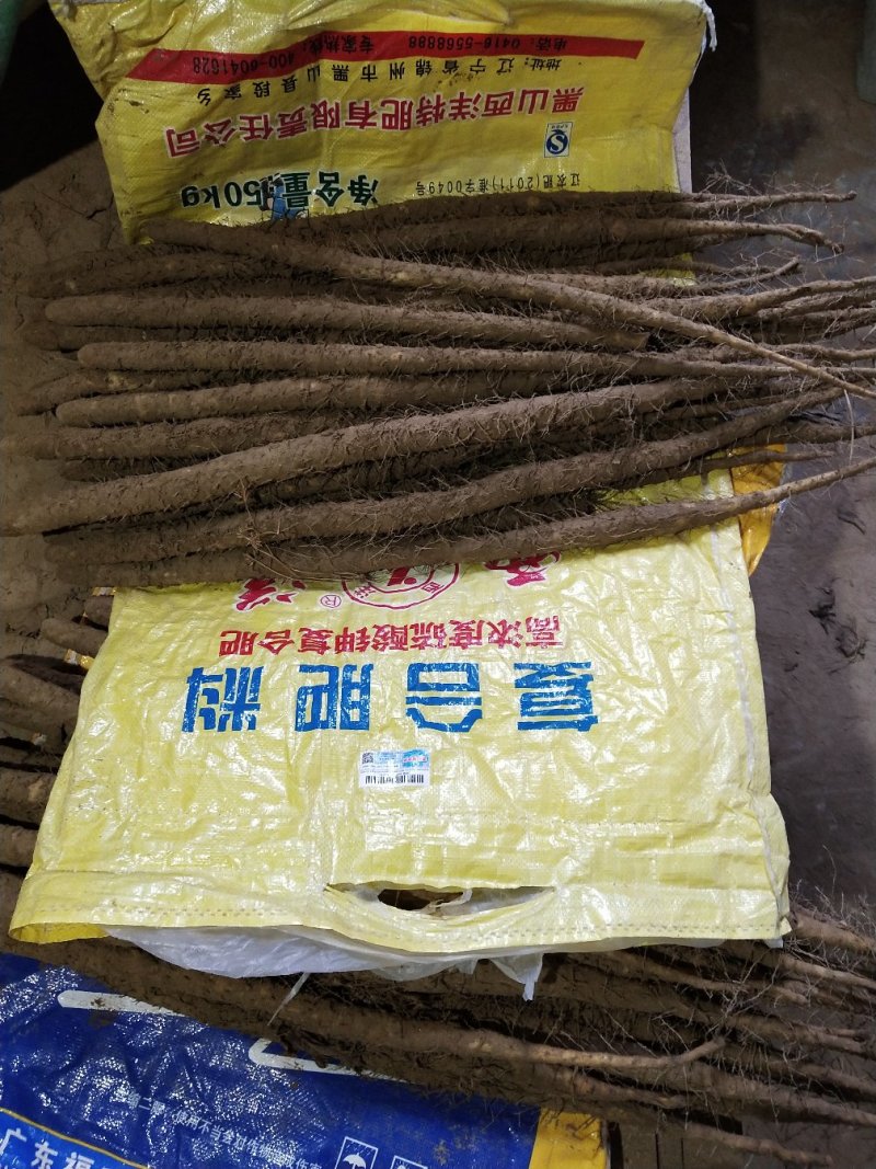 小白嘴