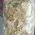蒜片全国发货，专注蒜片，购销储存仓储配资，十万吨蒜片仓储