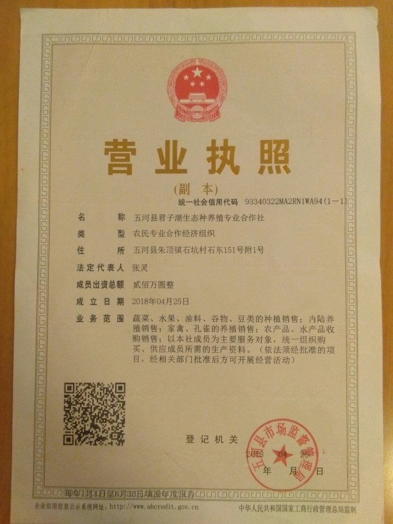 沱湖螃蟹大闸蟹全国十大名蟹