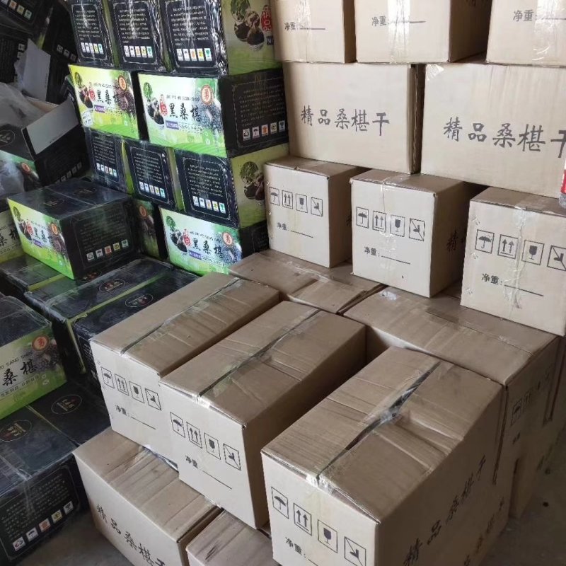 桑椹子